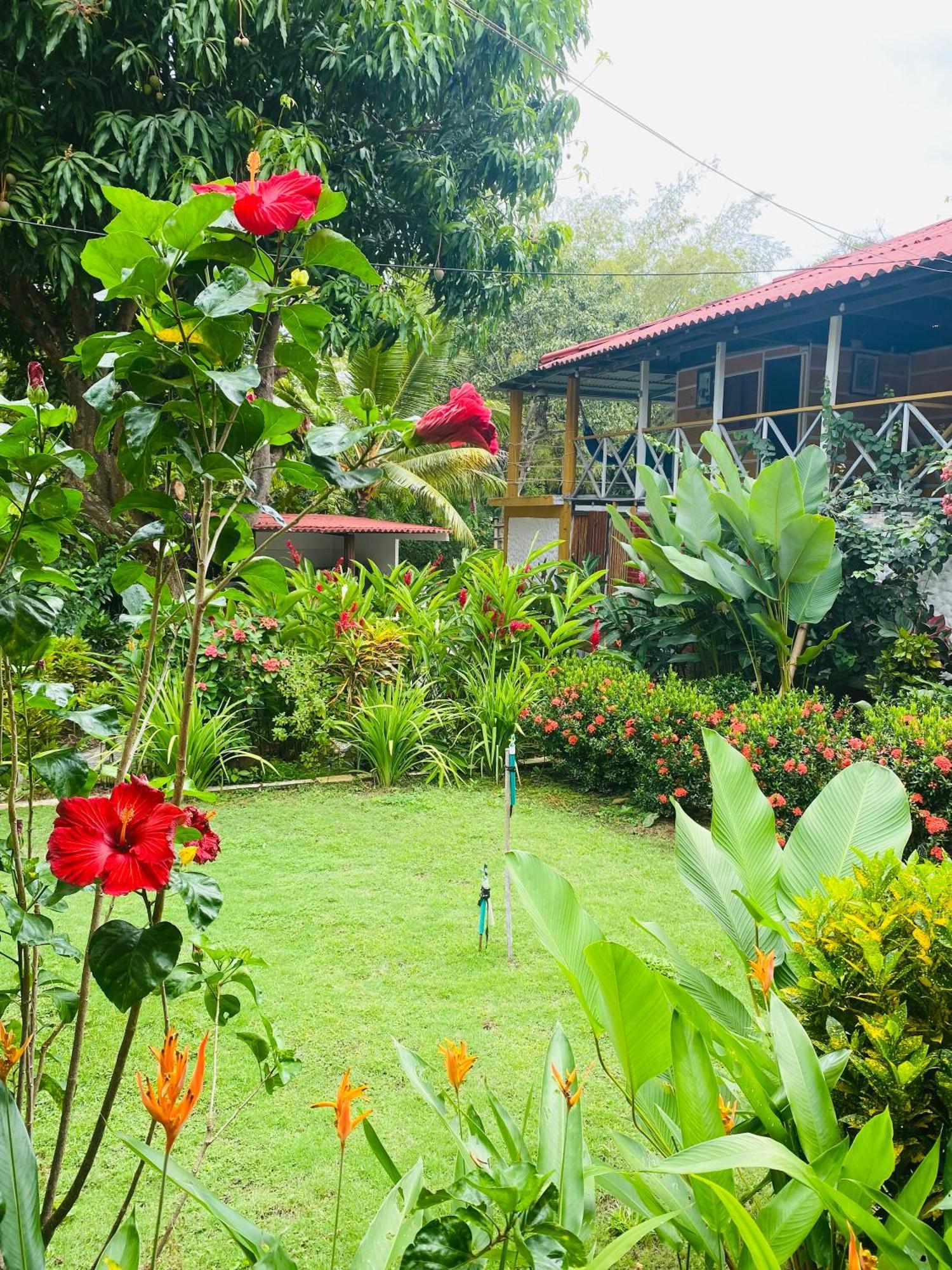 אל סאינו Wayanay Tayrona Eco Hostel מראה חיצוני תמונה