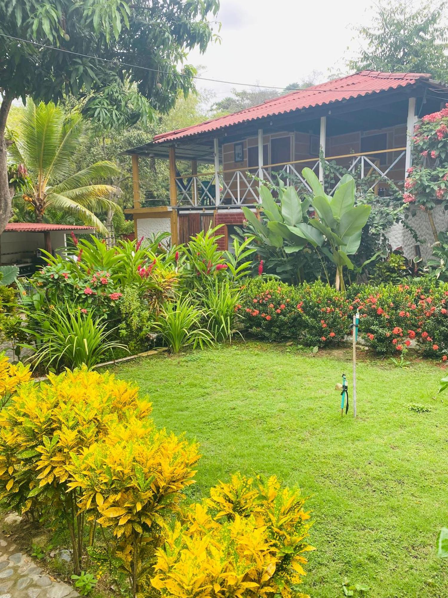 אל סאינו Wayanay Tayrona Eco Hostel מראה חיצוני תמונה