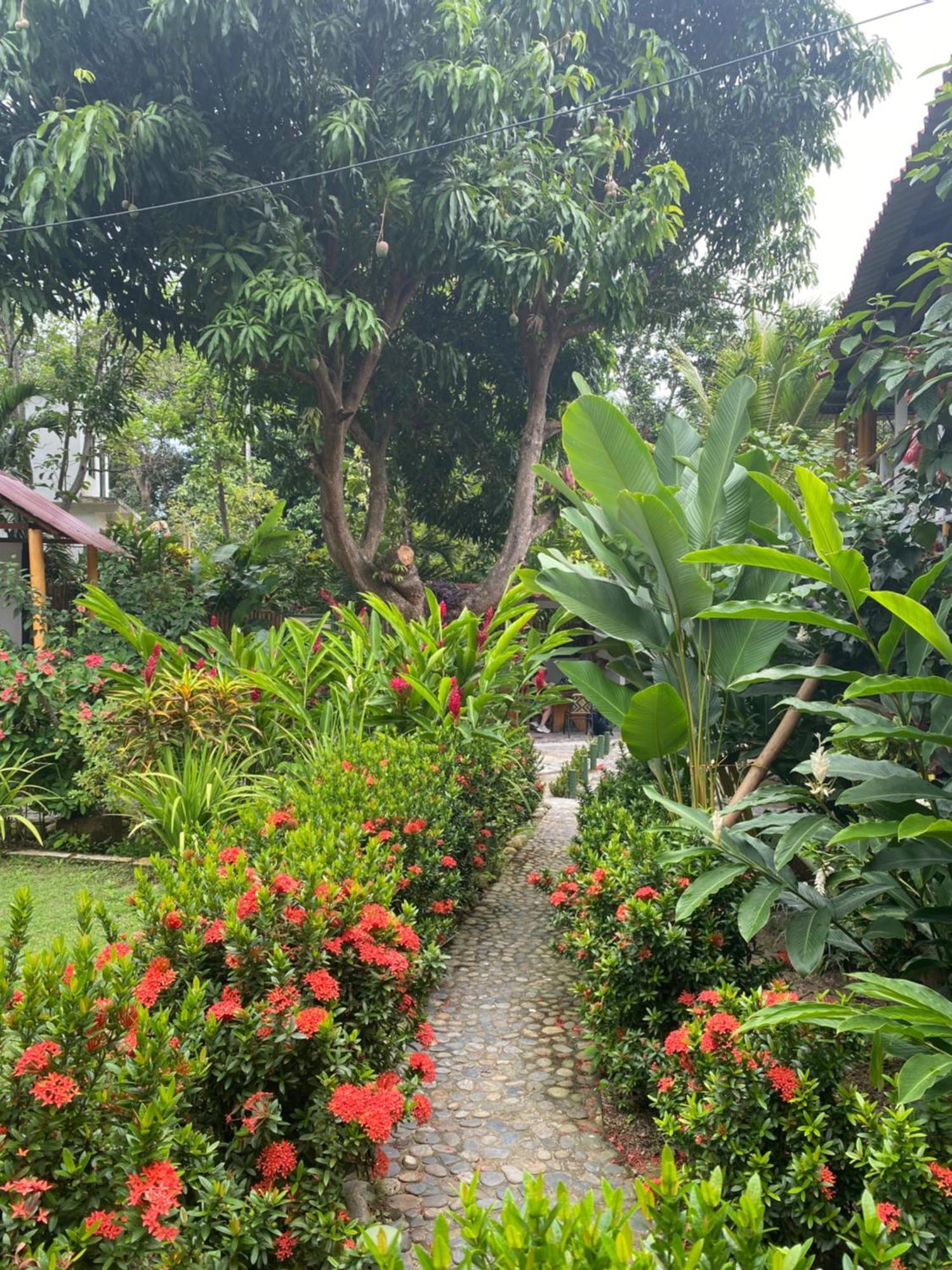 אל סאינו Wayanay Tayrona Eco Hostel מראה חיצוני תמונה
