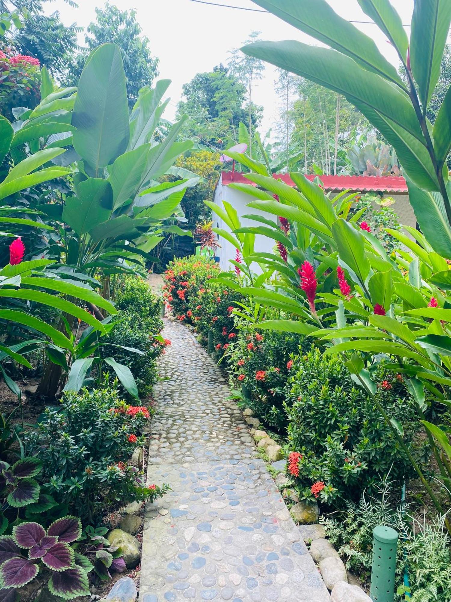 אל סאינו Wayanay Tayrona Eco Hostel מראה חיצוני תמונה
