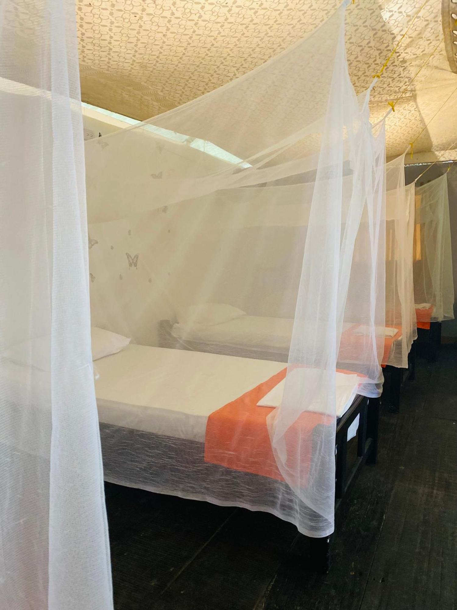 אל סאינו Wayanay Tayrona Eco Hostel מראה חיצוני תמונה