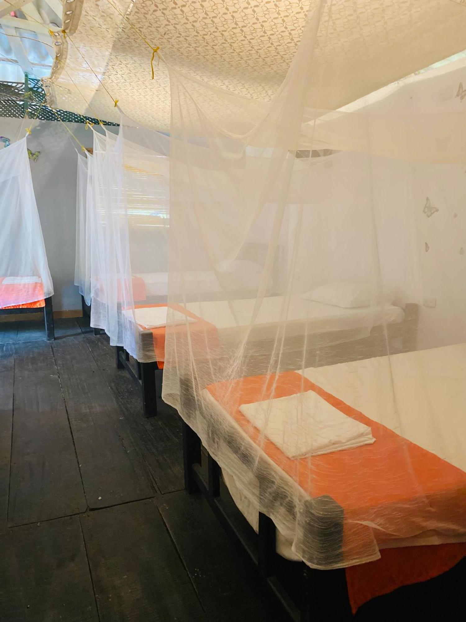אל סאינו Wayanay Tayrona Eco Hostel מראה חיצוני תמונה